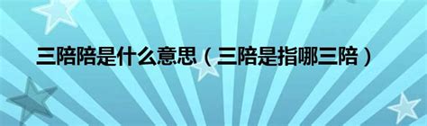 三陪 意思|三陪的意思、释义、用法及组词造句